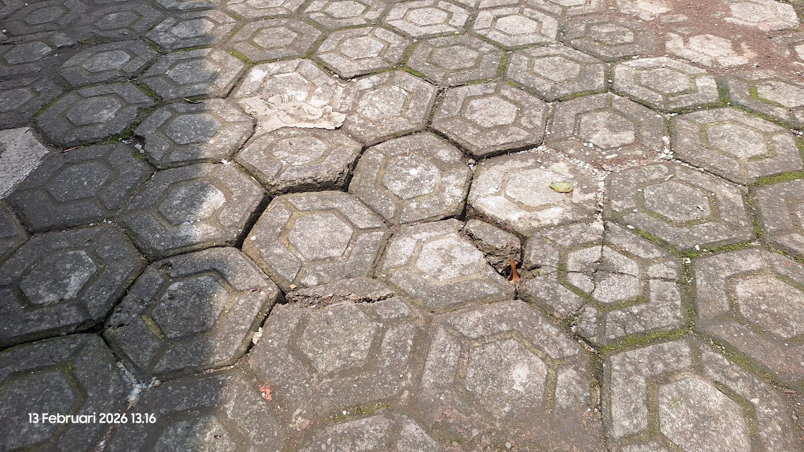 Lapangan/Halaman Sekolah