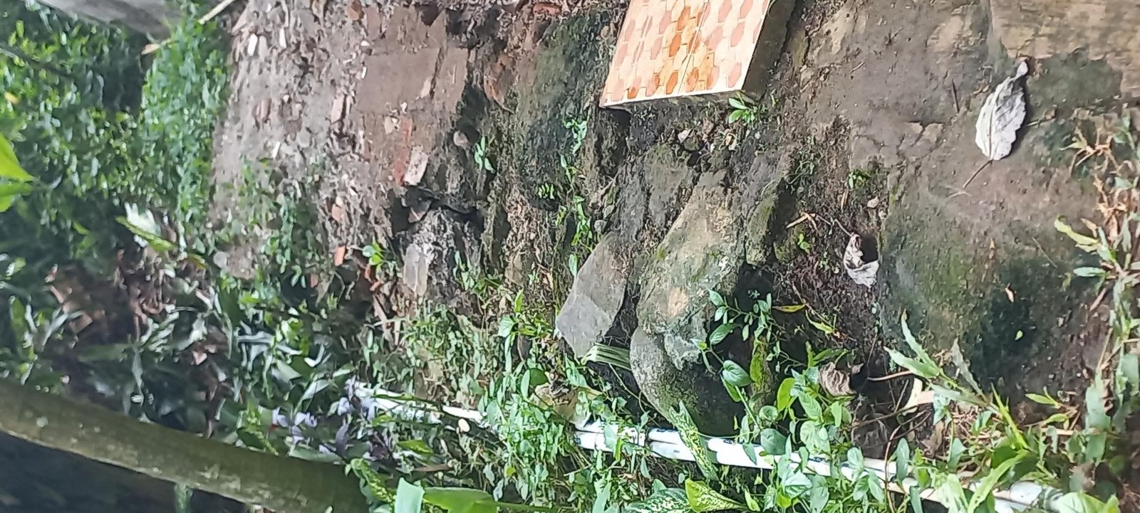 Tembok/cor penahan tanah tepi bangunan belakang sekolah.